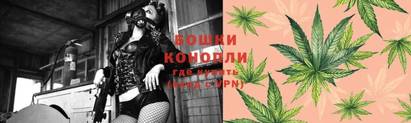прущие грибы Армянск