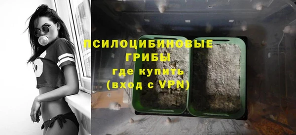 каннабис Арсеньев