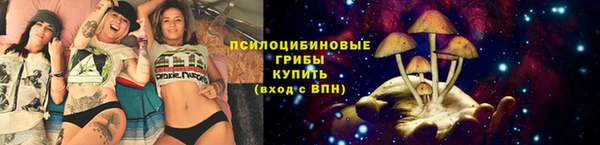 каннабис Арсеньев