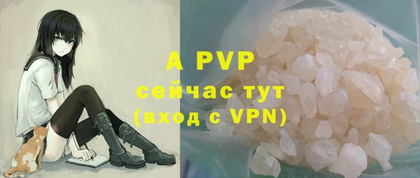 прущие грибы Армянск