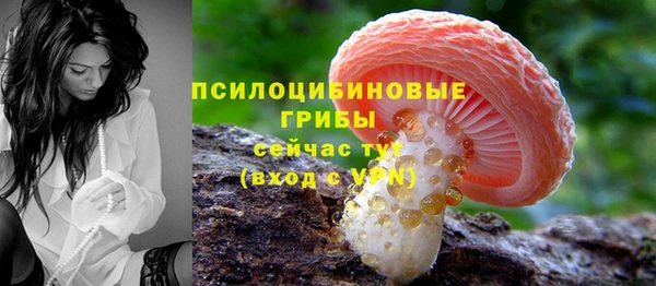 2c-b Аркадак