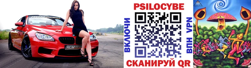 Галлюциногенные грибы Psilocybe закладки Бийск