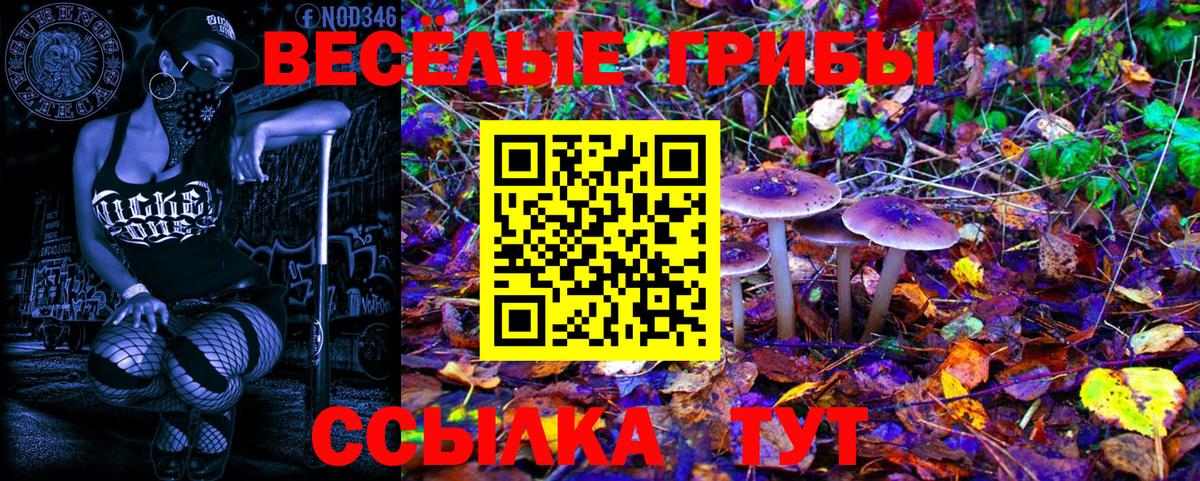 Псилоцибиновые грибы мухоморы  Псилоцибиновые грибы Psilocybe  Бийск  Вход с VPN 